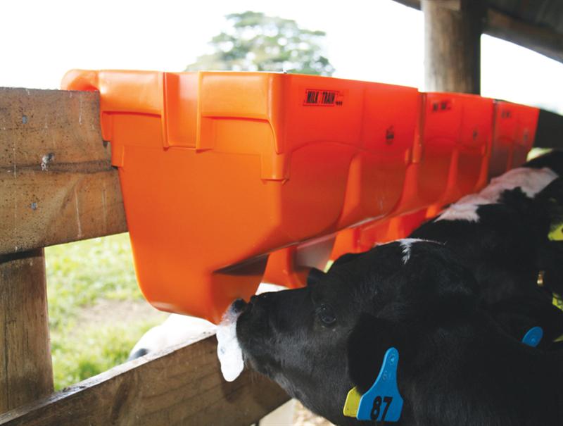 Milk Train Calf Feeder (2place)