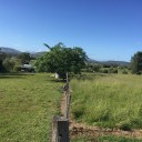 Fertilised pasture holds back drought for local beef producer