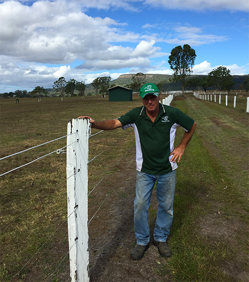 Herbicide fenceline weed control at Washpool Lodge