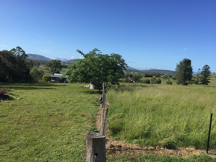 Urea treated block for spring pasture