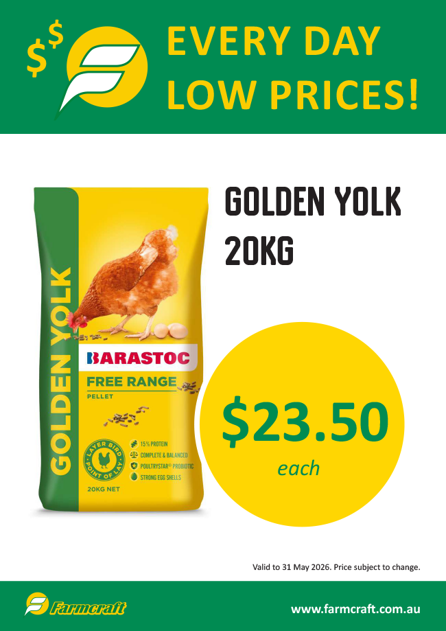 everyday low price on golden yolk at Farmcraft